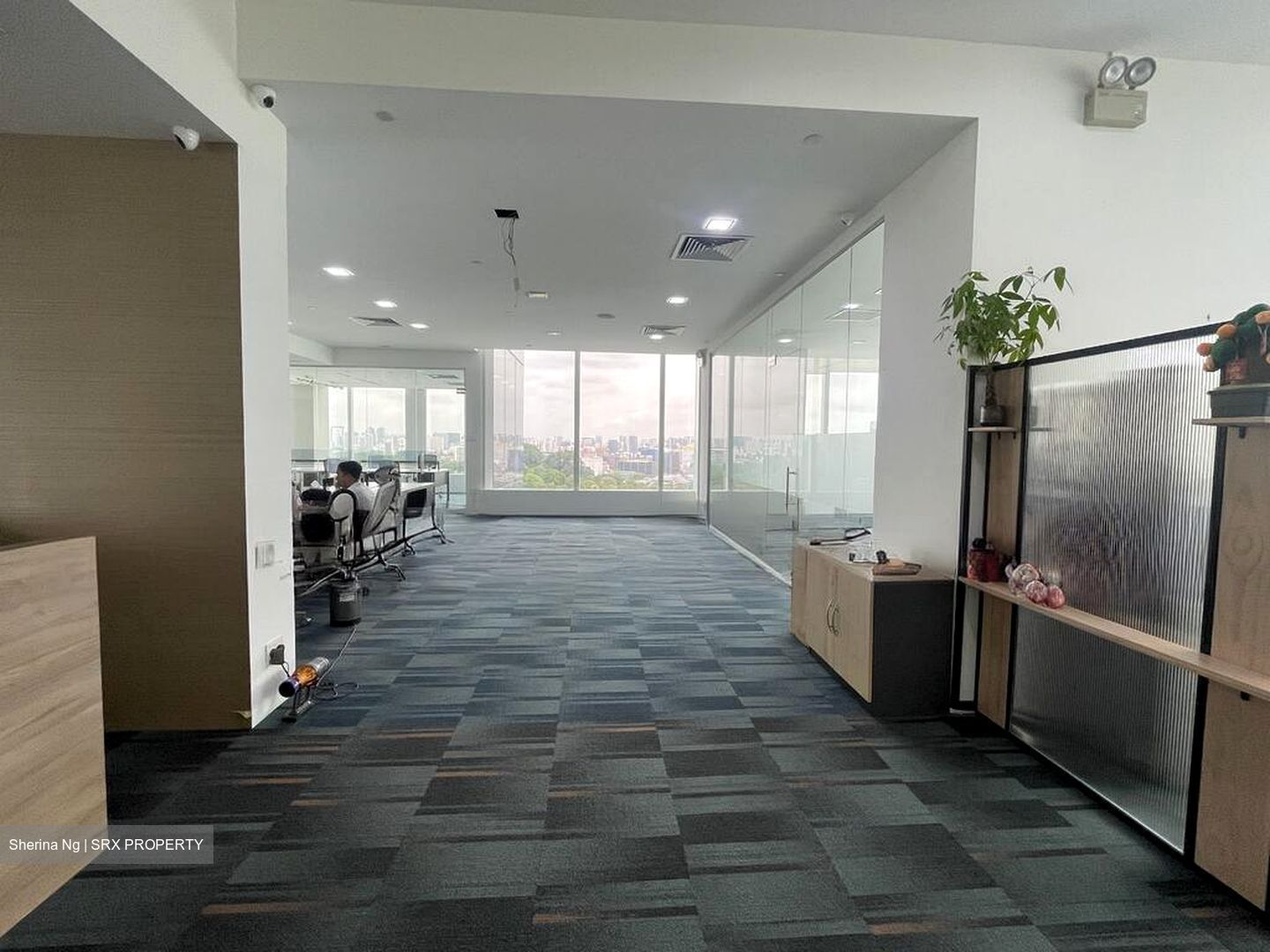 The Central (D1), Office #517299651